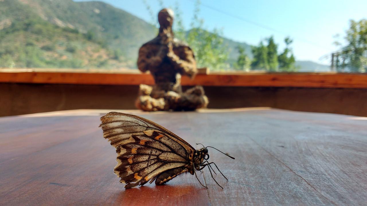 Biosfera Lodge โอลมูเอ ภายนอก รูปภาพ