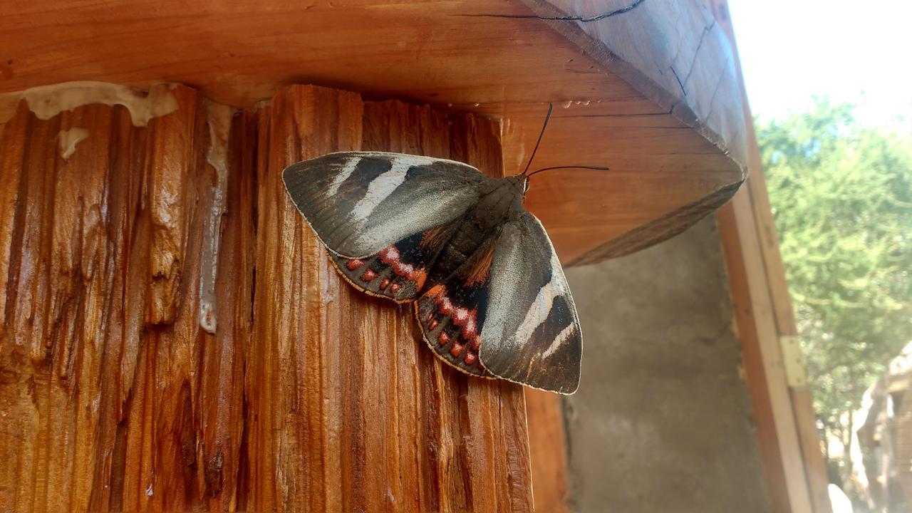 Biosfera Lodge โอลมูเอ ภายนอก รูปภาพ