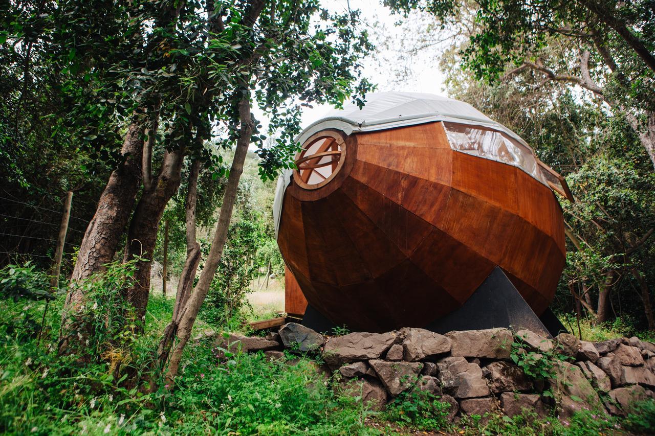 Biosfera Lodge โอลมูเอ ภายนอก รูปภาพ